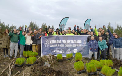 Xornada de voluntariado ambiental junto con KPMG Galicia