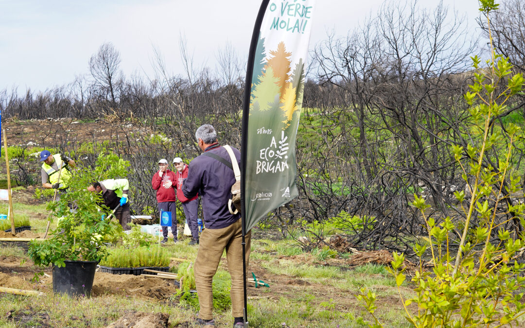 RESTAURACIÓN FORESTAL E EMPREGO VERDE NO MONTE DA CARIDADE CON MONTE VIVO BBVA