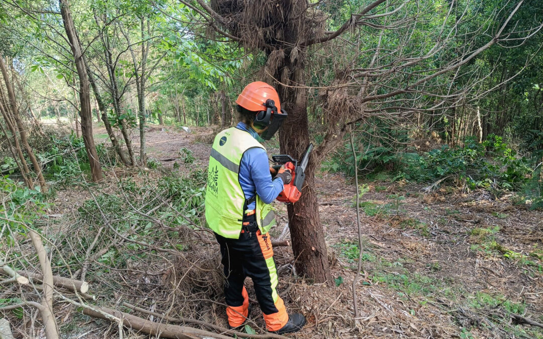 AS ECOBRIGADAS POÑEN O FOCO NA PREVENCIÓN E NO COIDADO DE MONTES CON MONTE VIVO ENCE